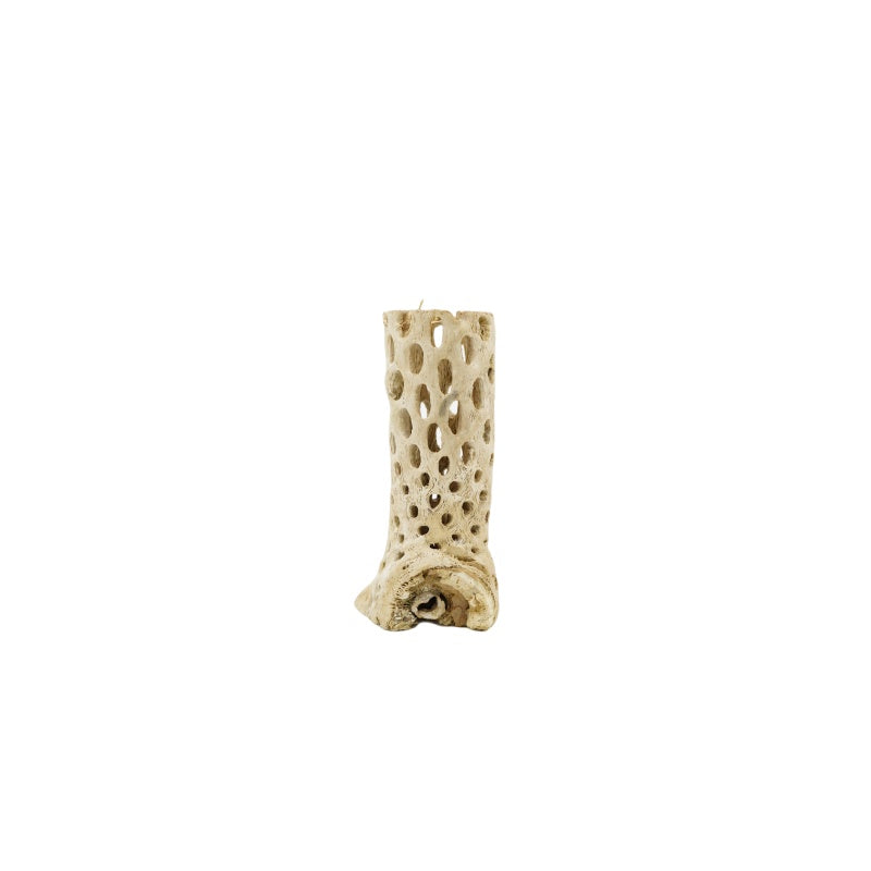 Cholla Wood Medium