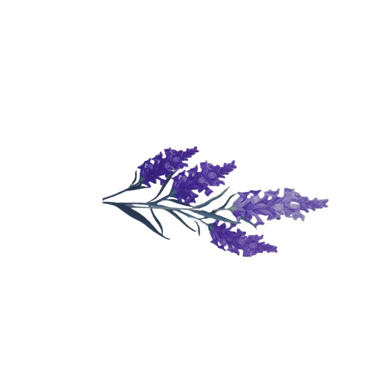 Plant Series - Stickers
