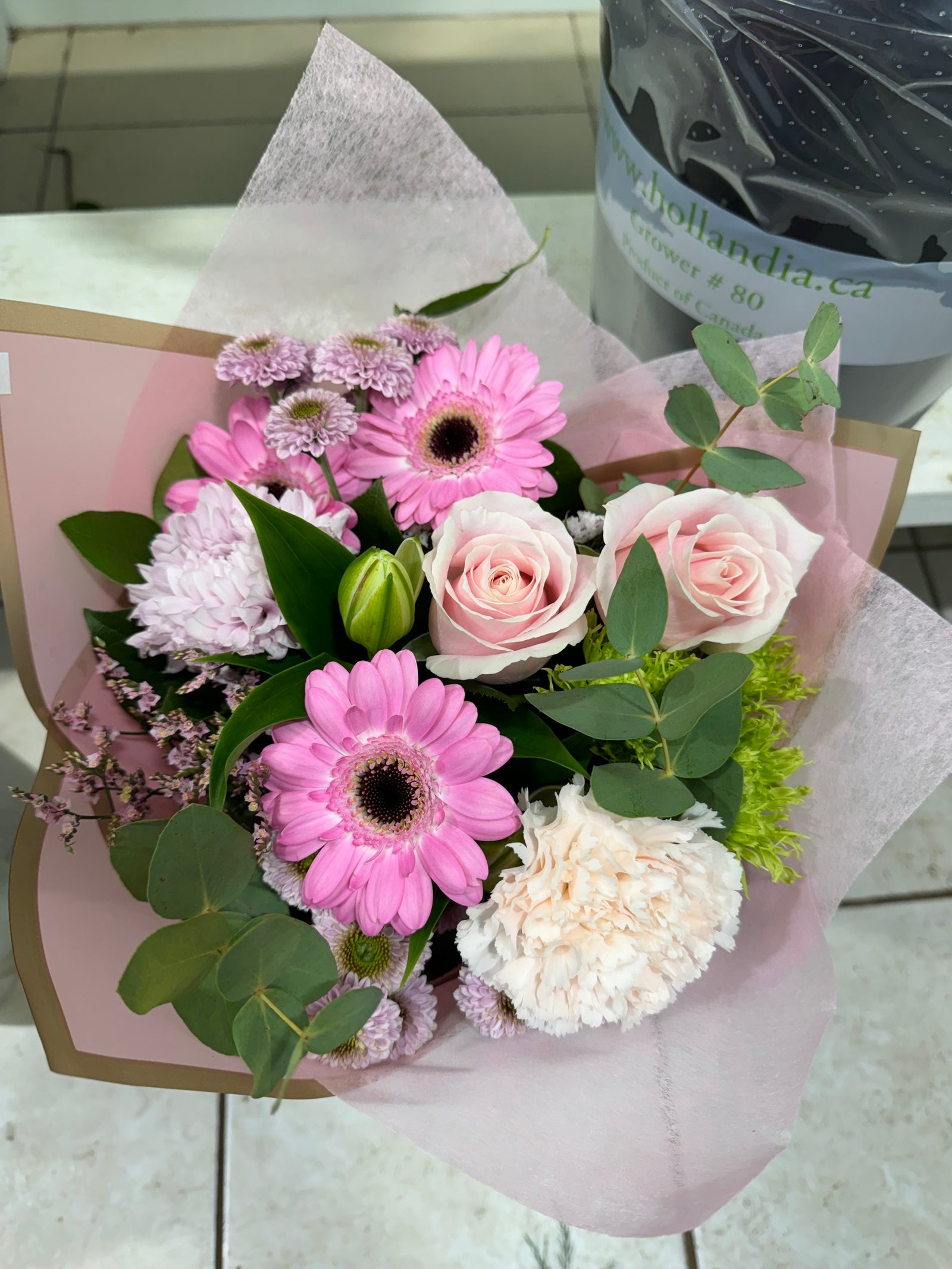 Gerbera Garden