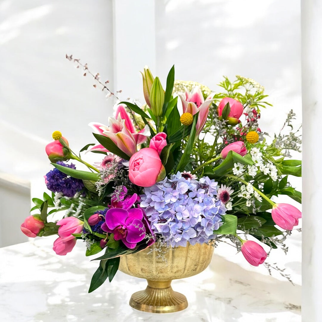 Peony in Bloom