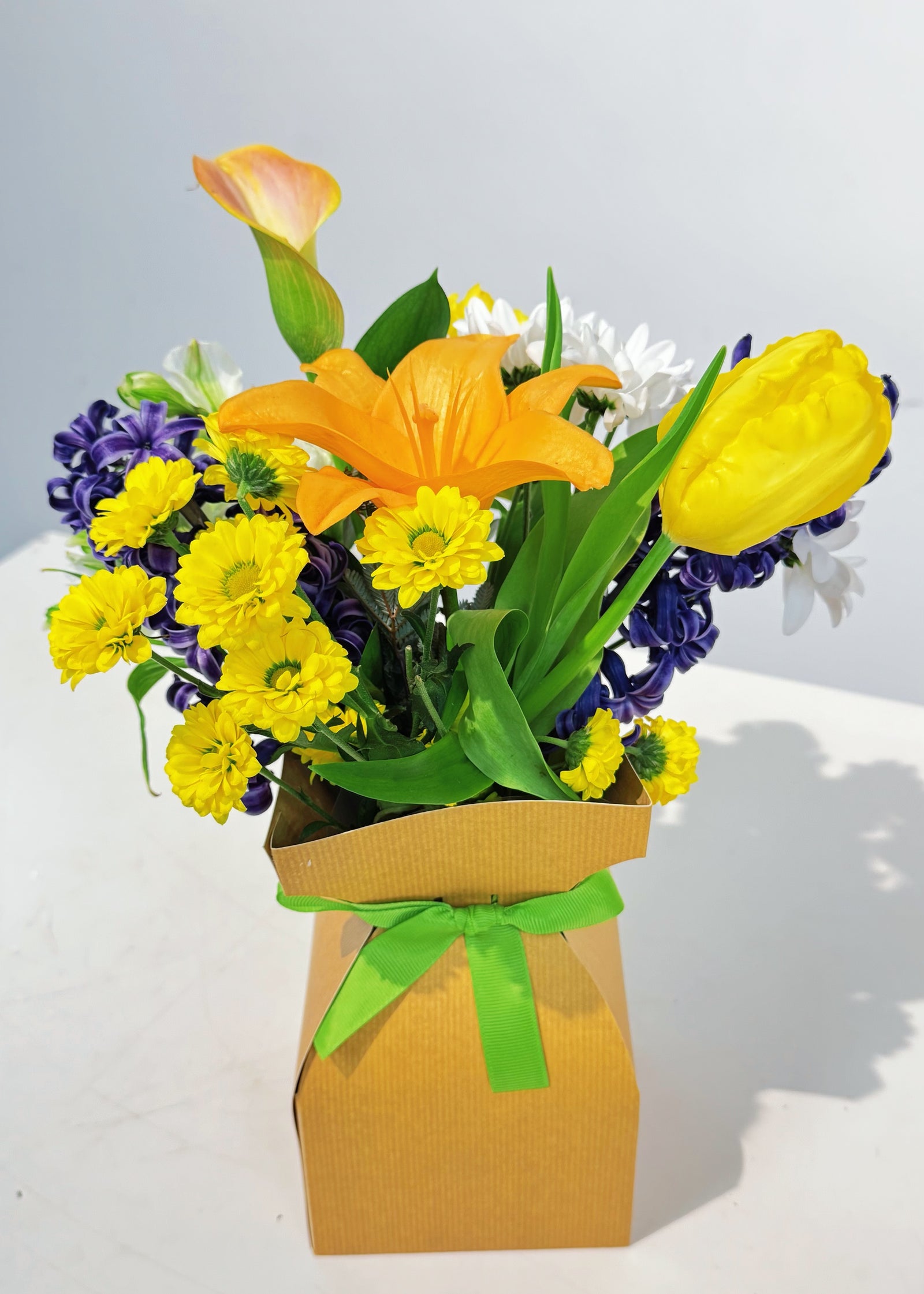 Welcome Spring