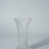 Clear Glass Vase with Feather Tail Design