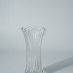 Clear Glass Vase with Feather Tail Design
