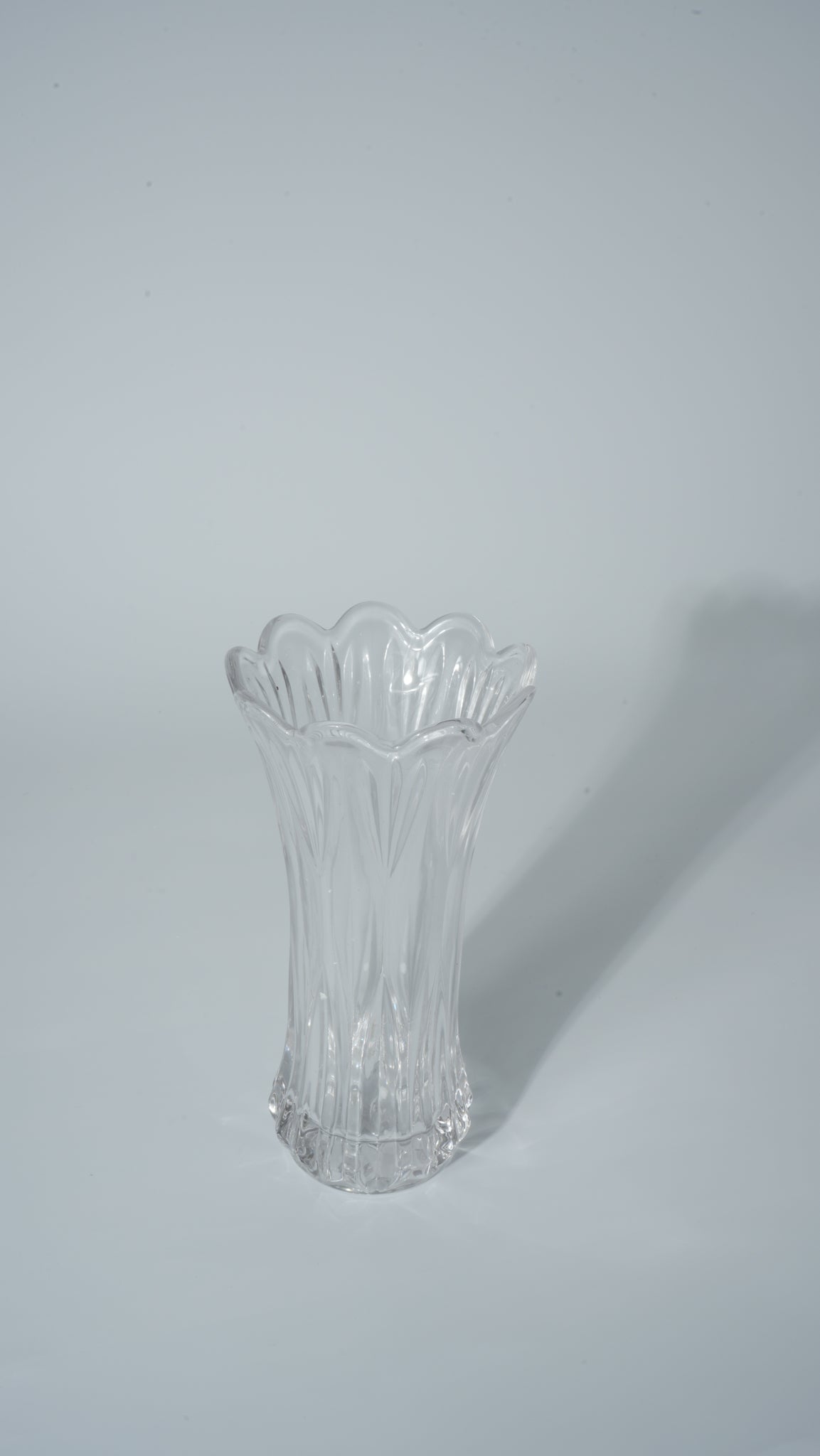 Clear Glass Vase with Feather Tail Design
