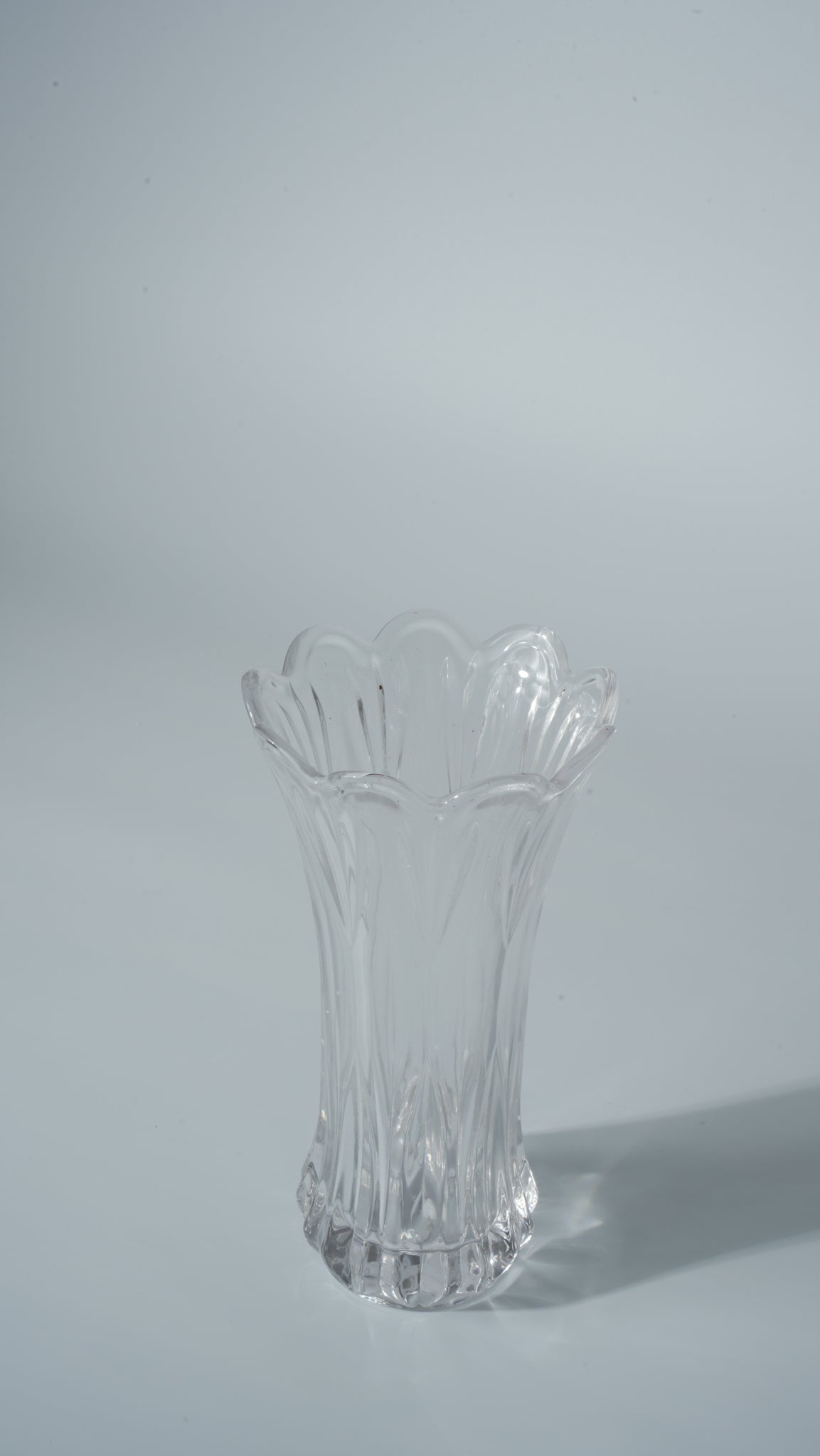 Clear Glass Vase with Feather Tail Design