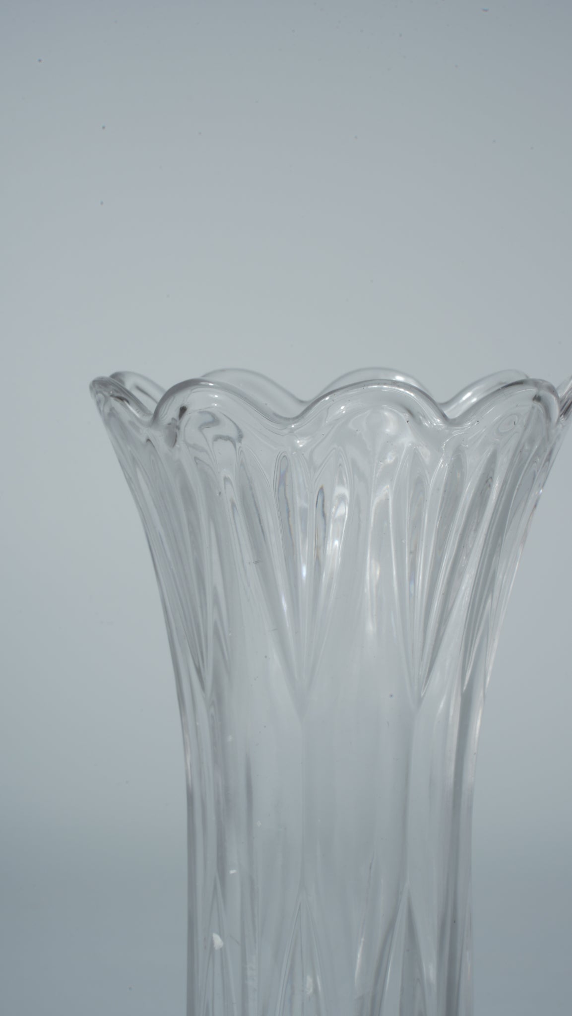 Clear Glass Vase with Feather Tail Design