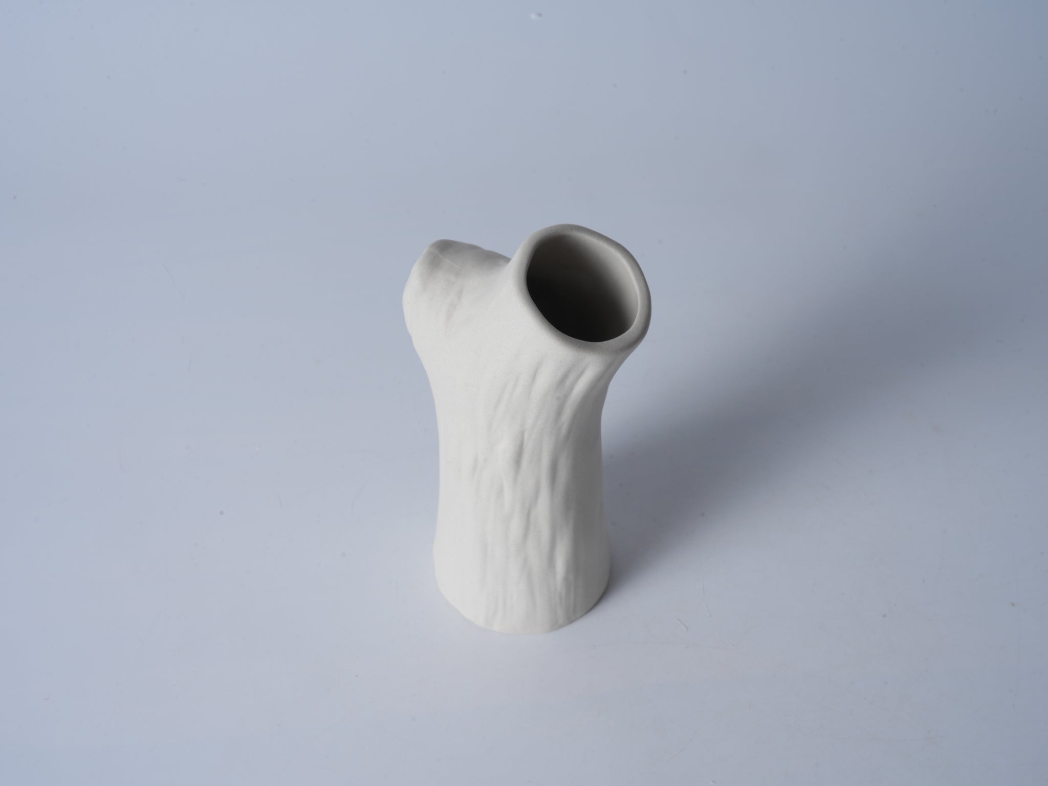 Tree Branch Planter – Small Size