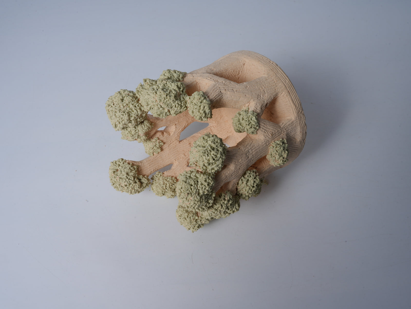 淺綠色森林花盆