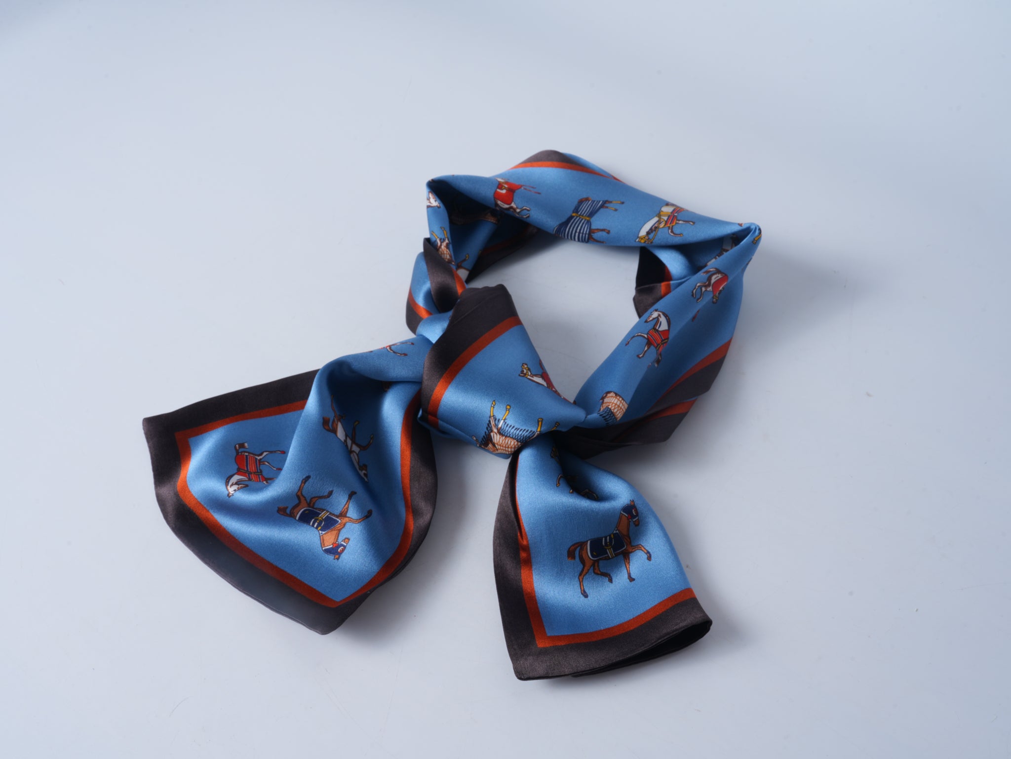 Horse Silk Ribbon Scarf