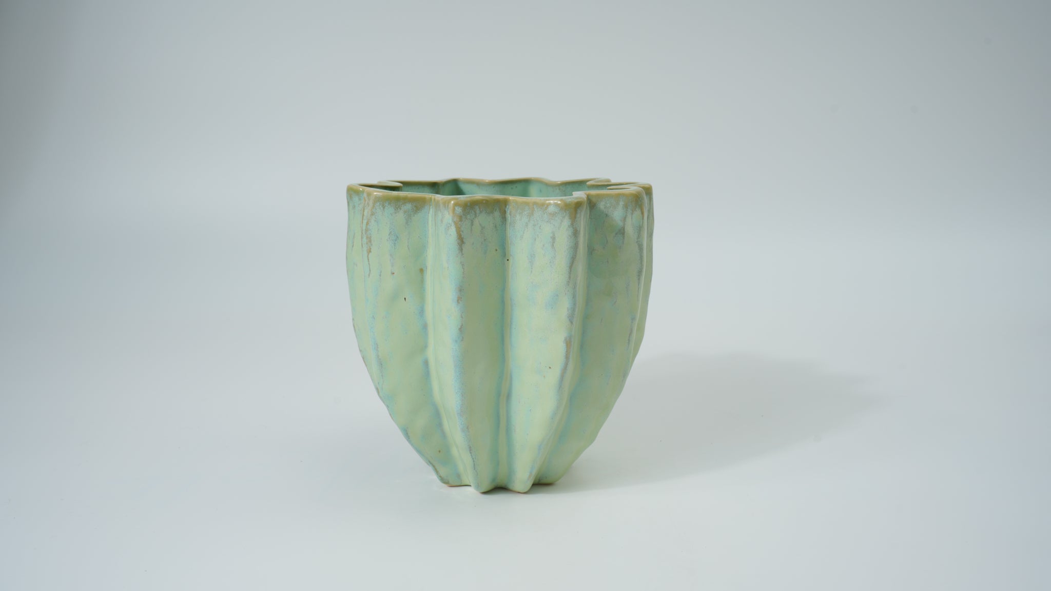 Ceramic Flower-Rim Planter