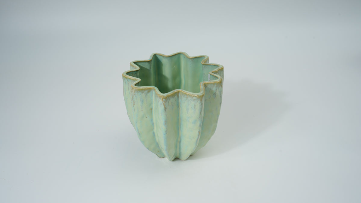 Ceramic Flower-Rim Planter