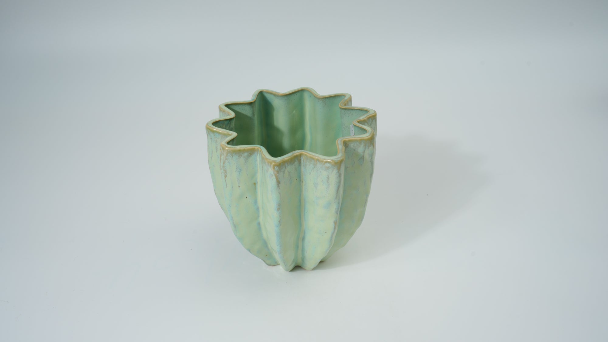 Ceramic Flower-Rim Planter