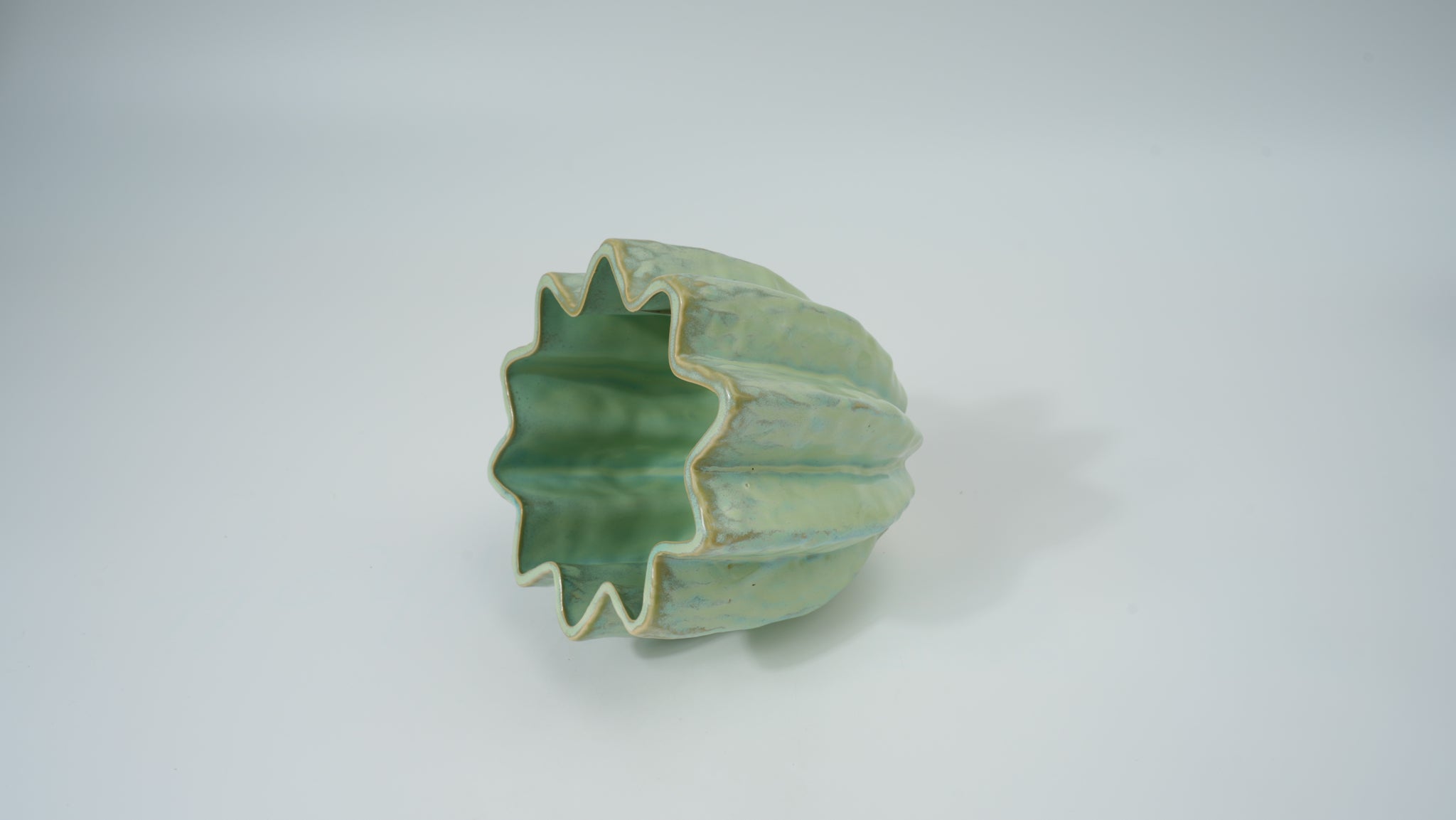 Ceramic Flower-Rim Planter