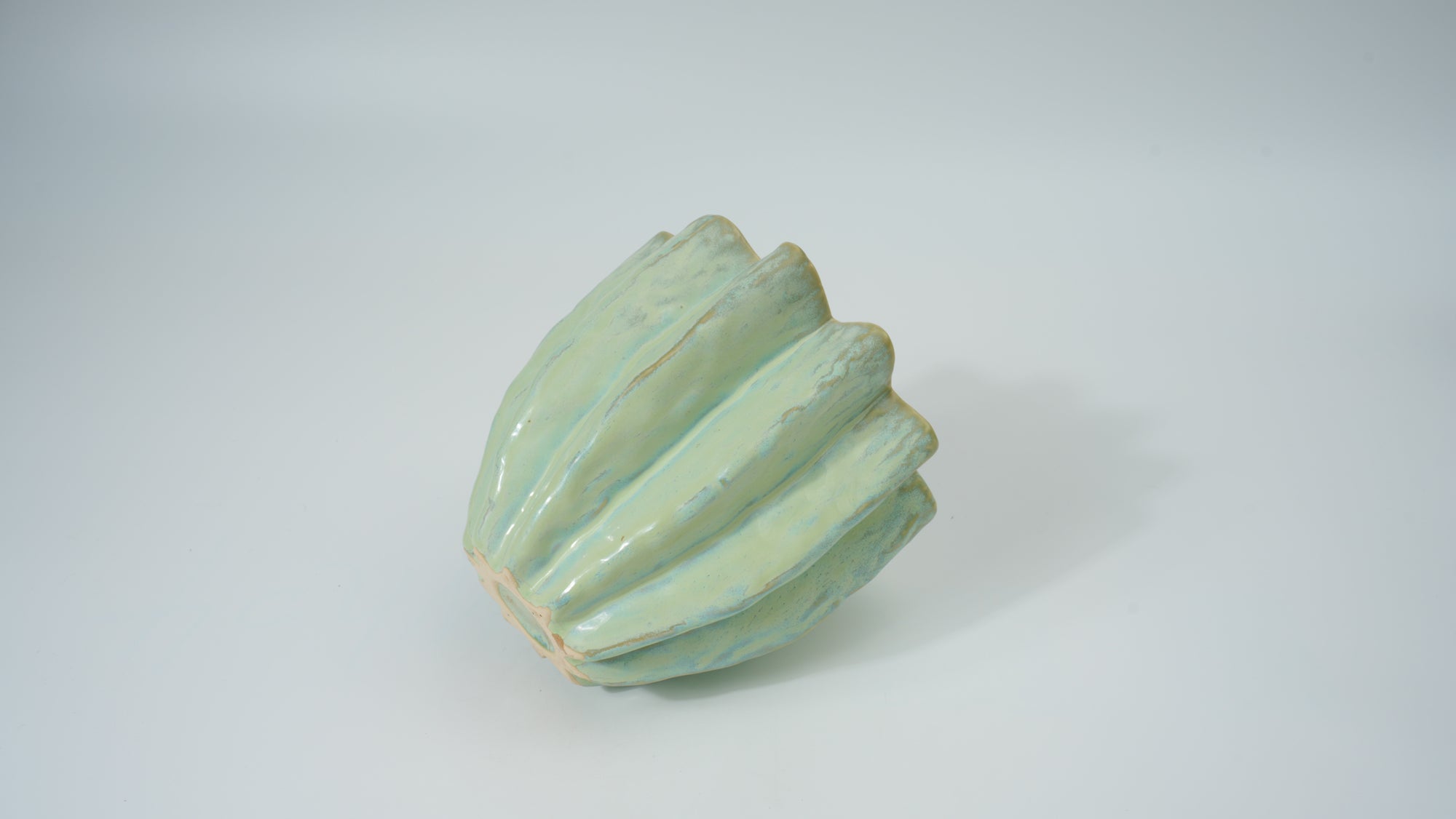 Ceramic Flower-Rim Planter