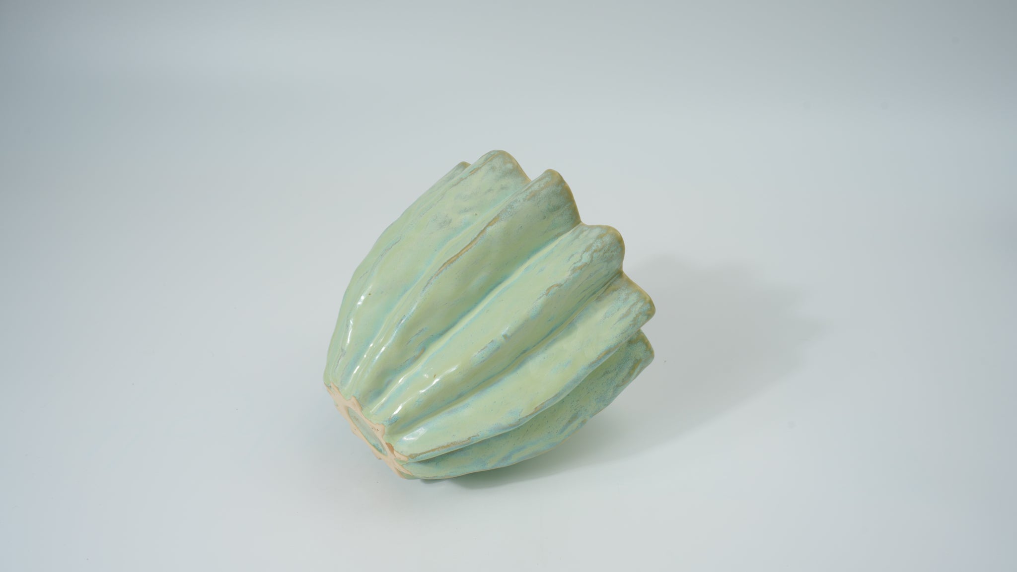 Ceramic Flower-Rim Planter