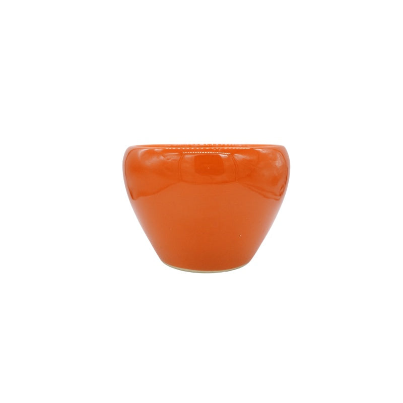 Ceramic Flower Pot