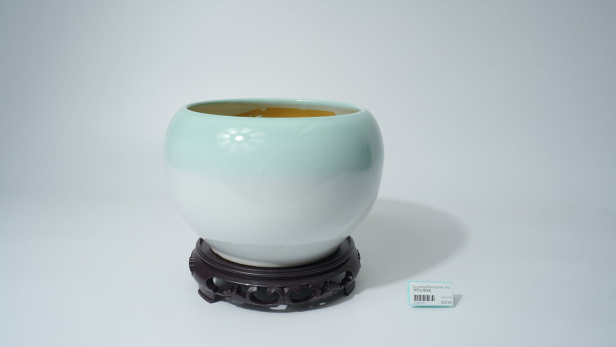 球形淡綠色壺