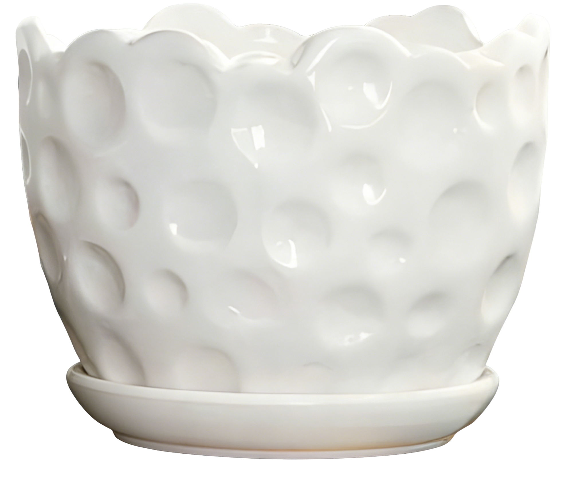 Ceramic Beaded Embossed Planter