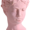 Venus Greek Goddess Sculptural Vase – Pink