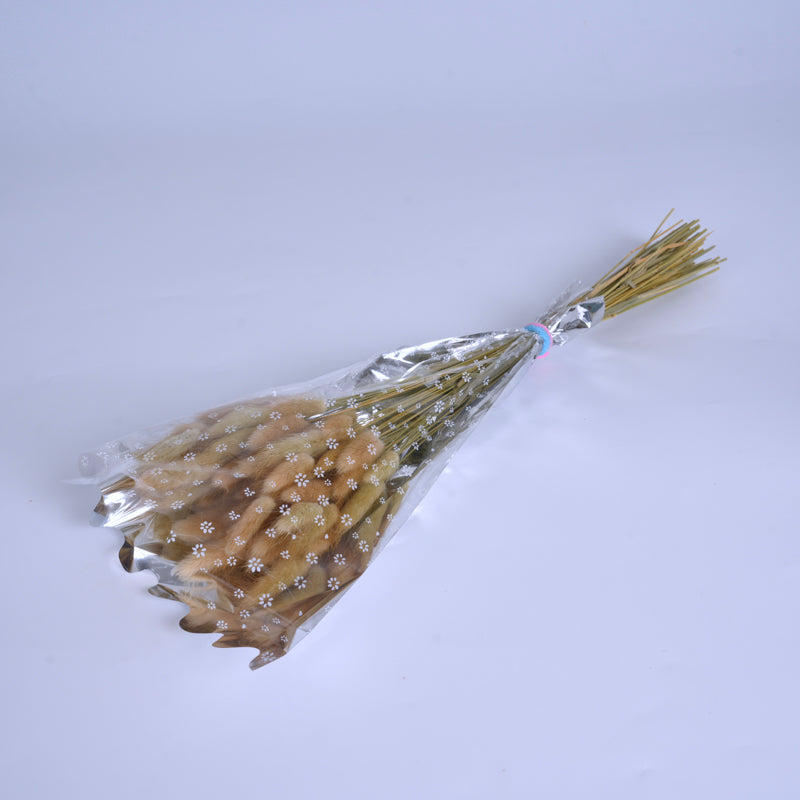 Camel Dried Bunny Tail Grass
