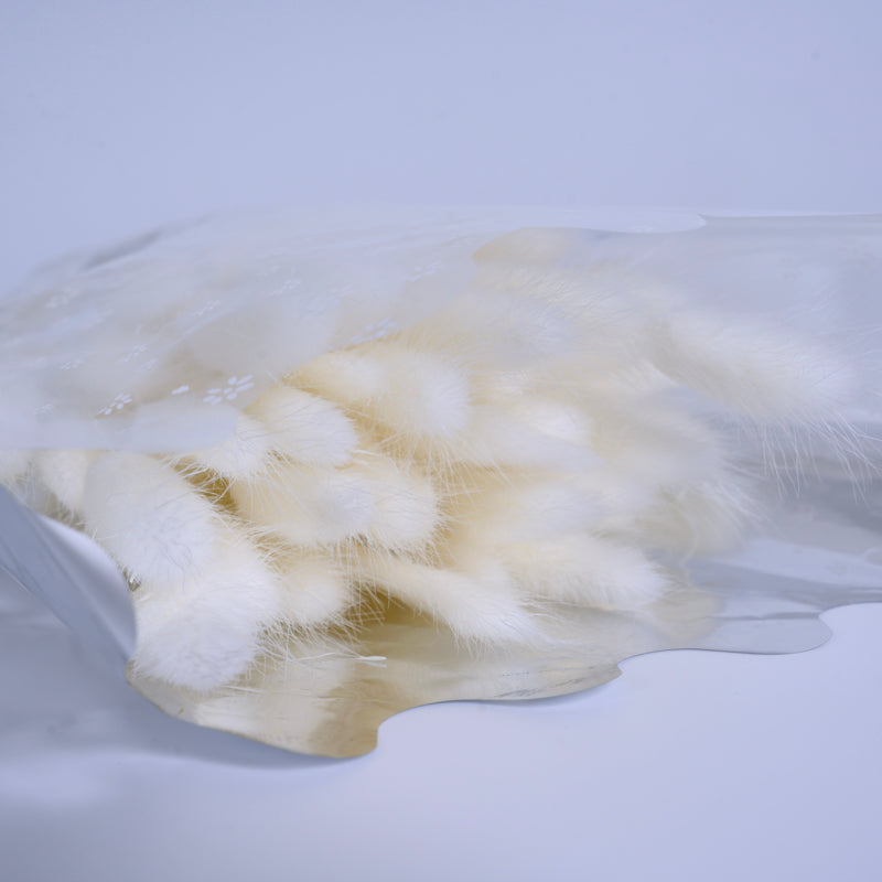 Ivory White Dried Bunny Tail Grass
