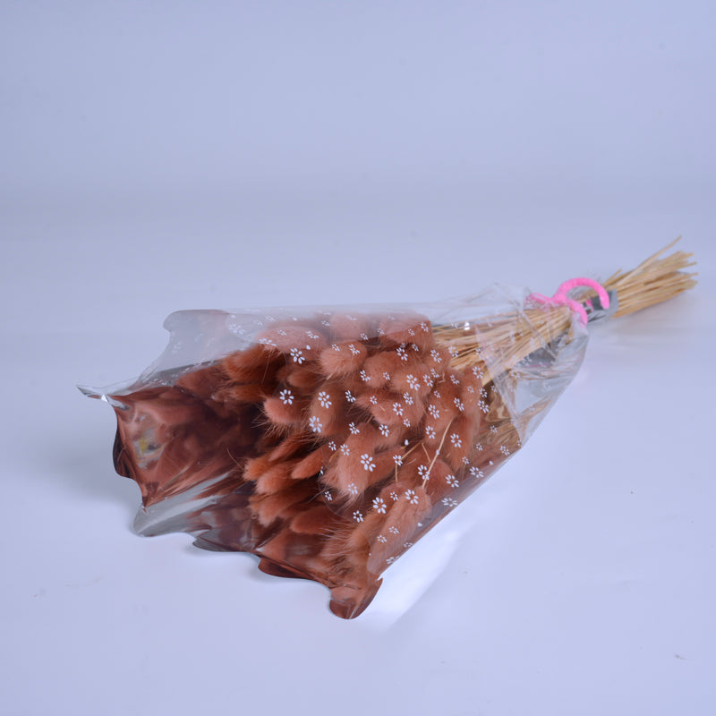 Rose Taupe Dried Bunny Tail Grass