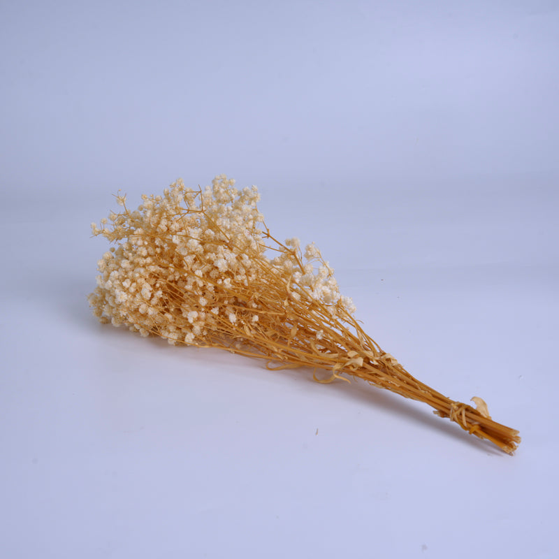 White Preserved Baby’s Breath Bouquet
