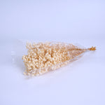 White Preserved Baby’s Breath Bouquet