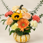 Peachy Pumpkin