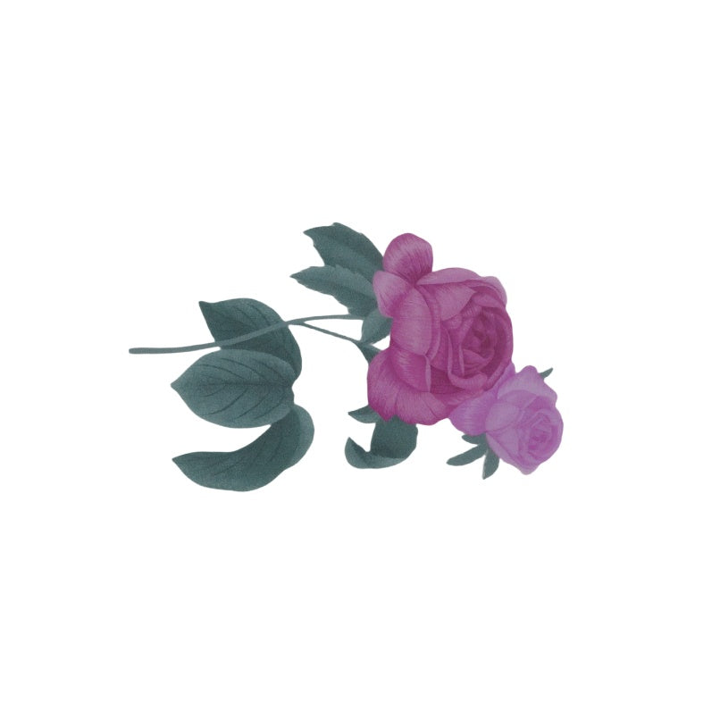 Plant Series - Stickers