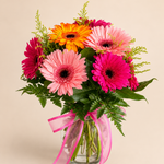 Blush Gerbera Vase