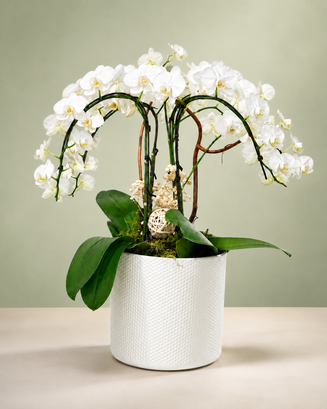 Cascading White Orchid Elegance