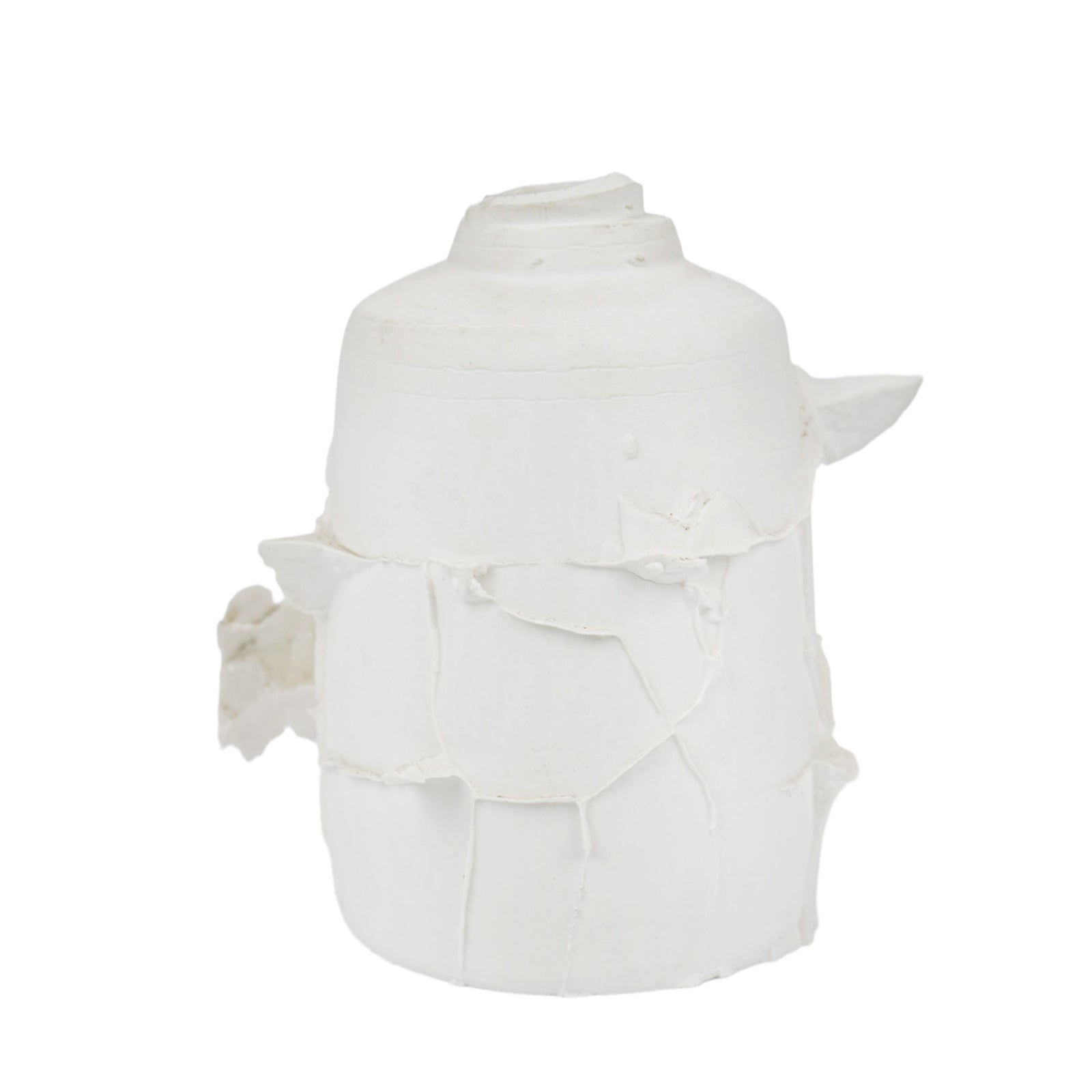 Ceramic Grouting Vegetal Embryo