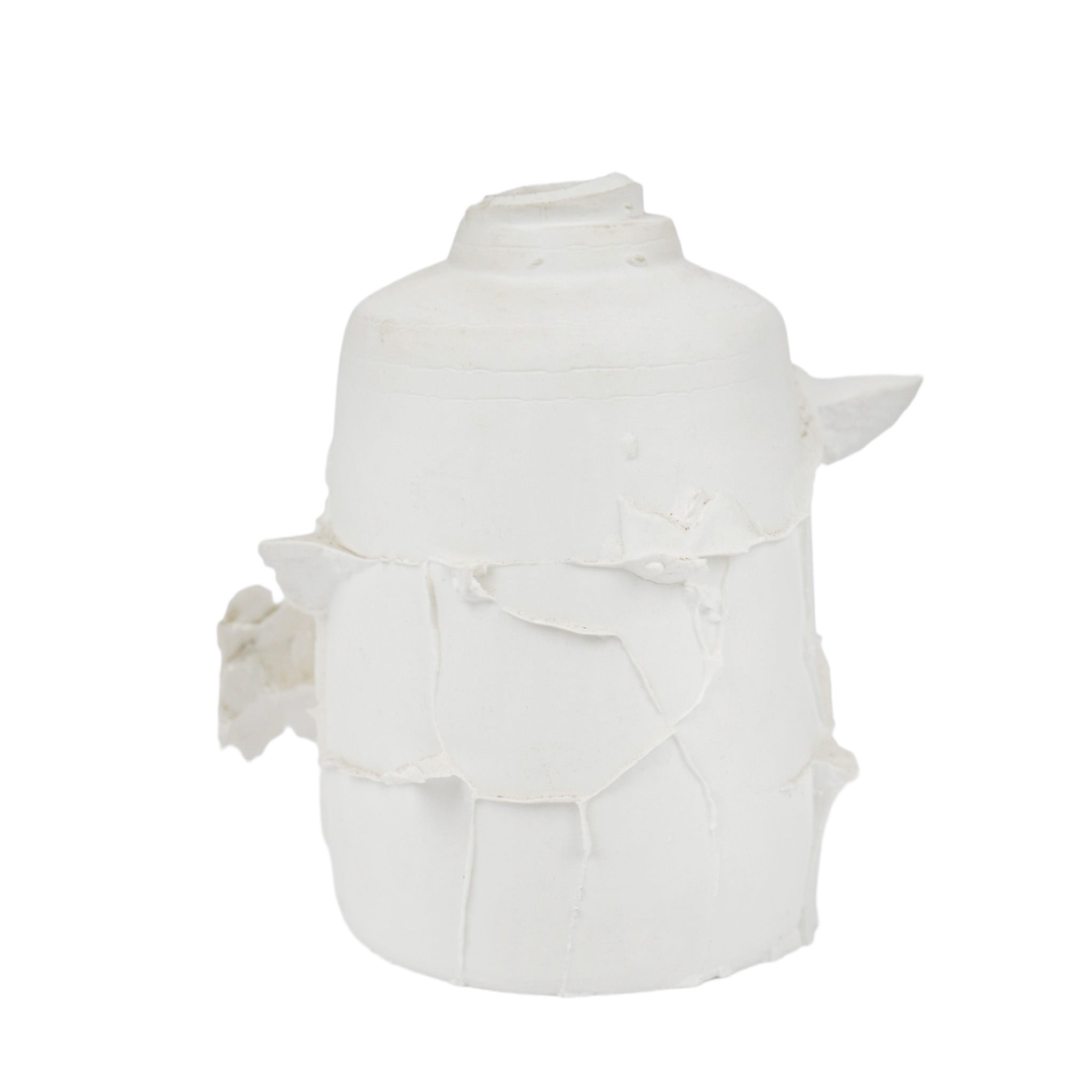 Ceramic Grouting Vegetal Embryo