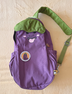 Eggplant Bag