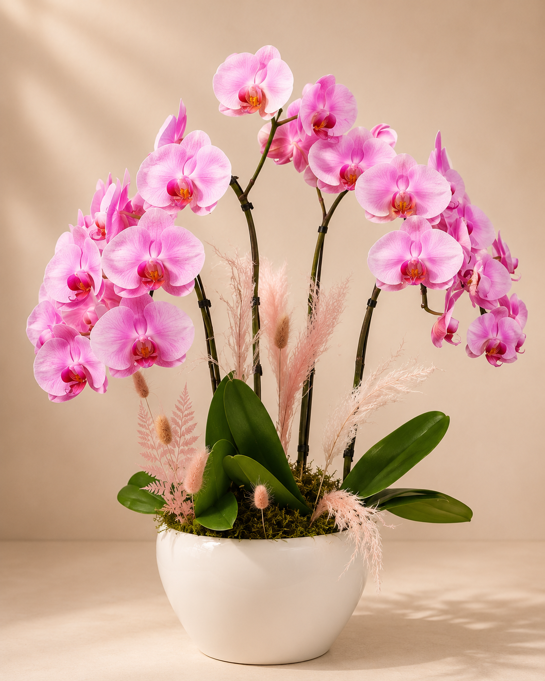 Fucia Orchid Garden