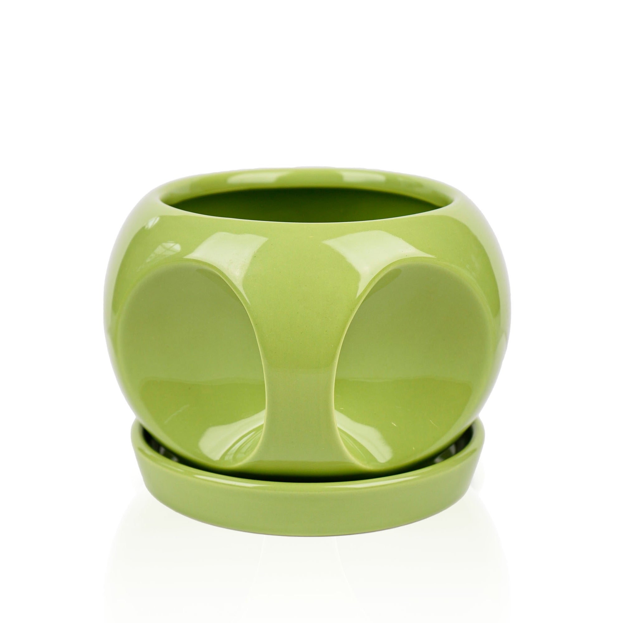 Green Ear Flower Pot