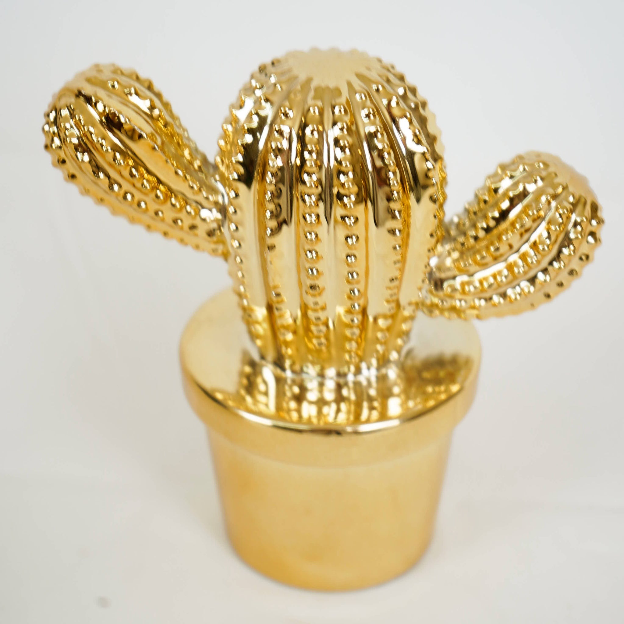 Golden Cactus Ceramic Ornament