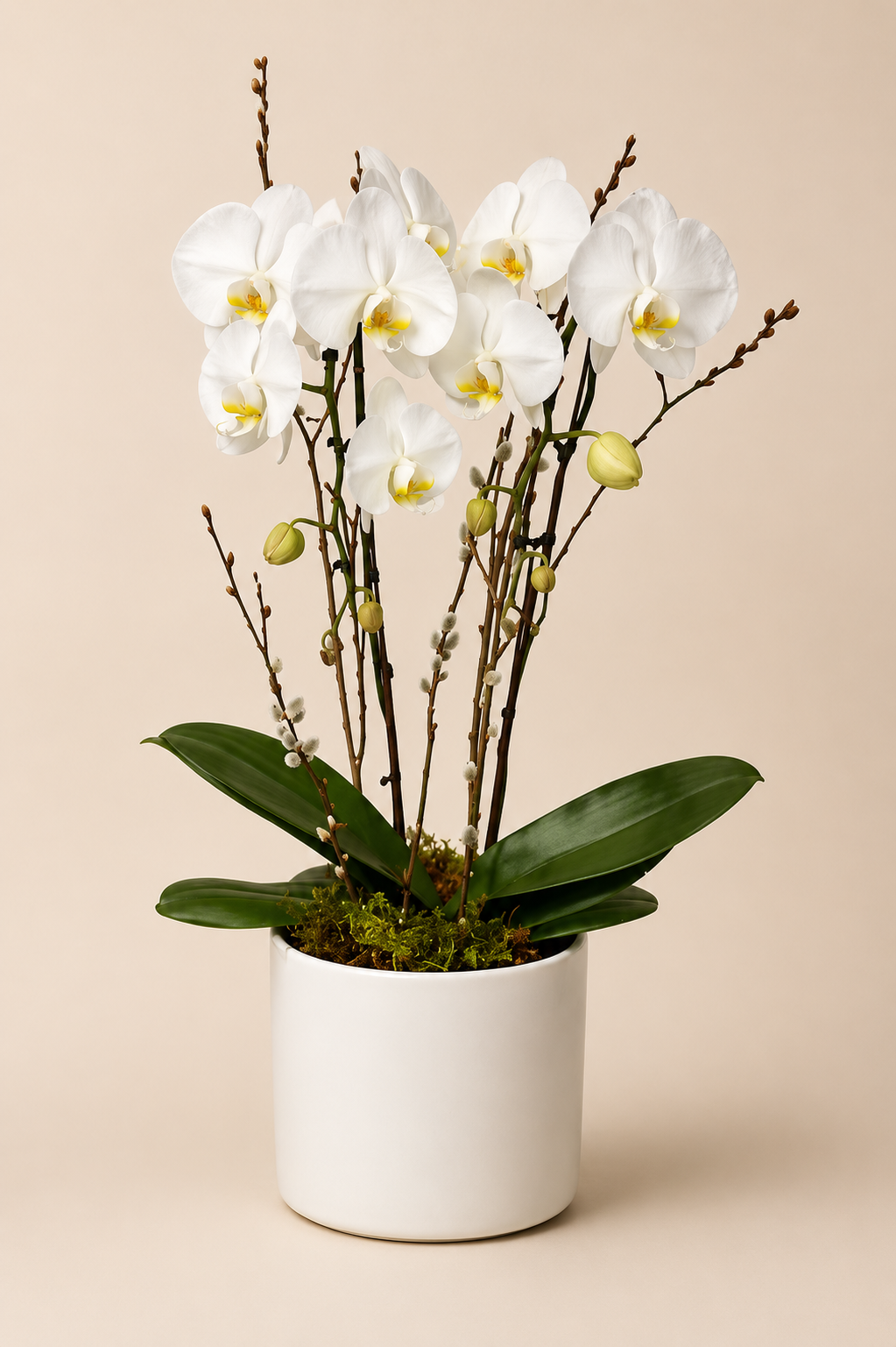 Luxury White Orchid Planter
