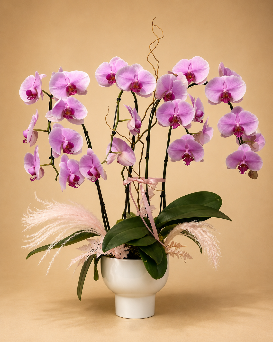 Orchidia Garden