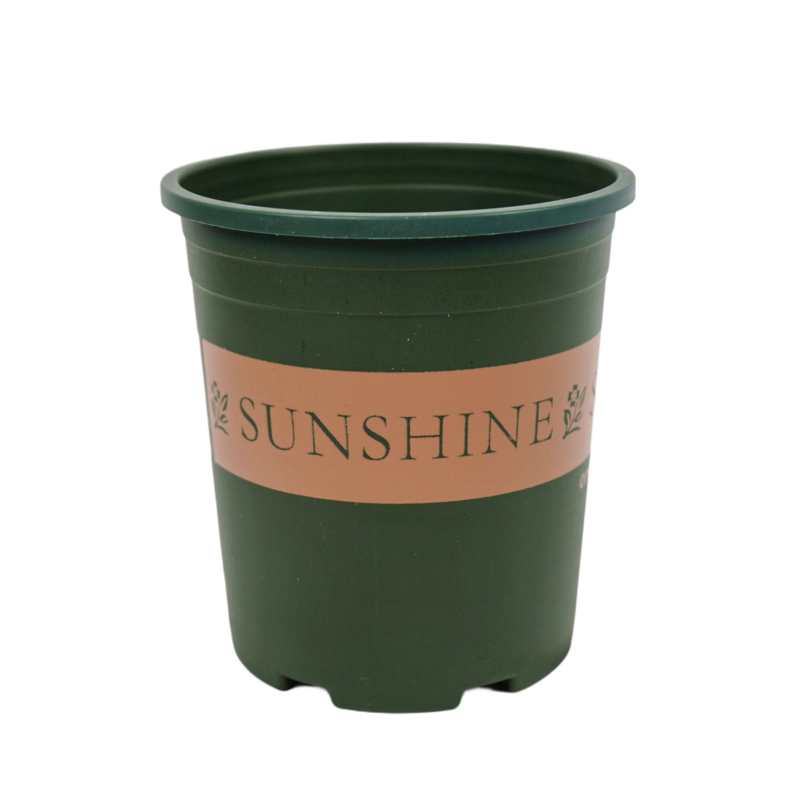 Round Green Pot With Sunshine