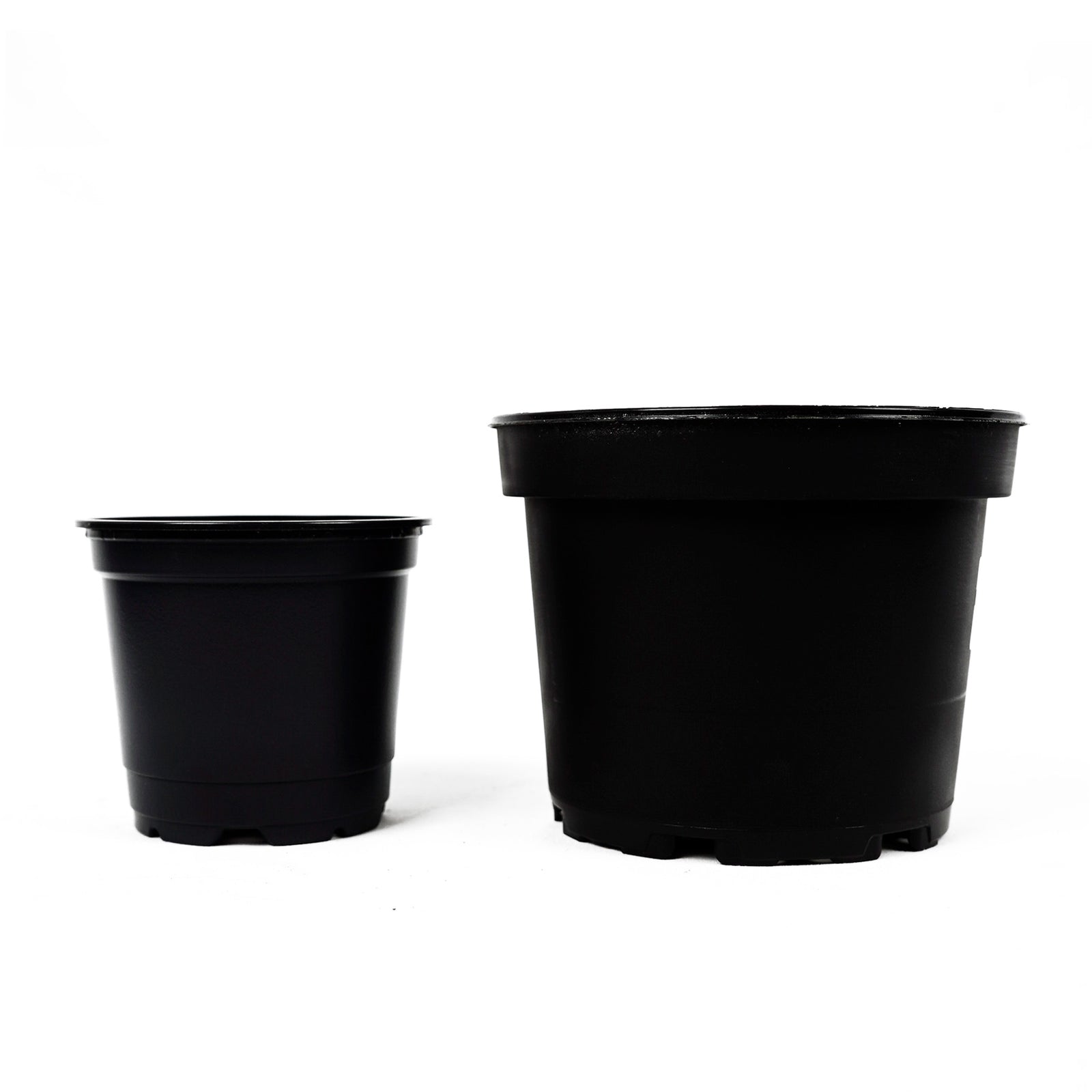 Seedling Round Black Pot VCC10