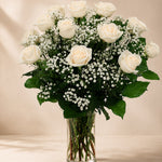 Snow Rose Elegance