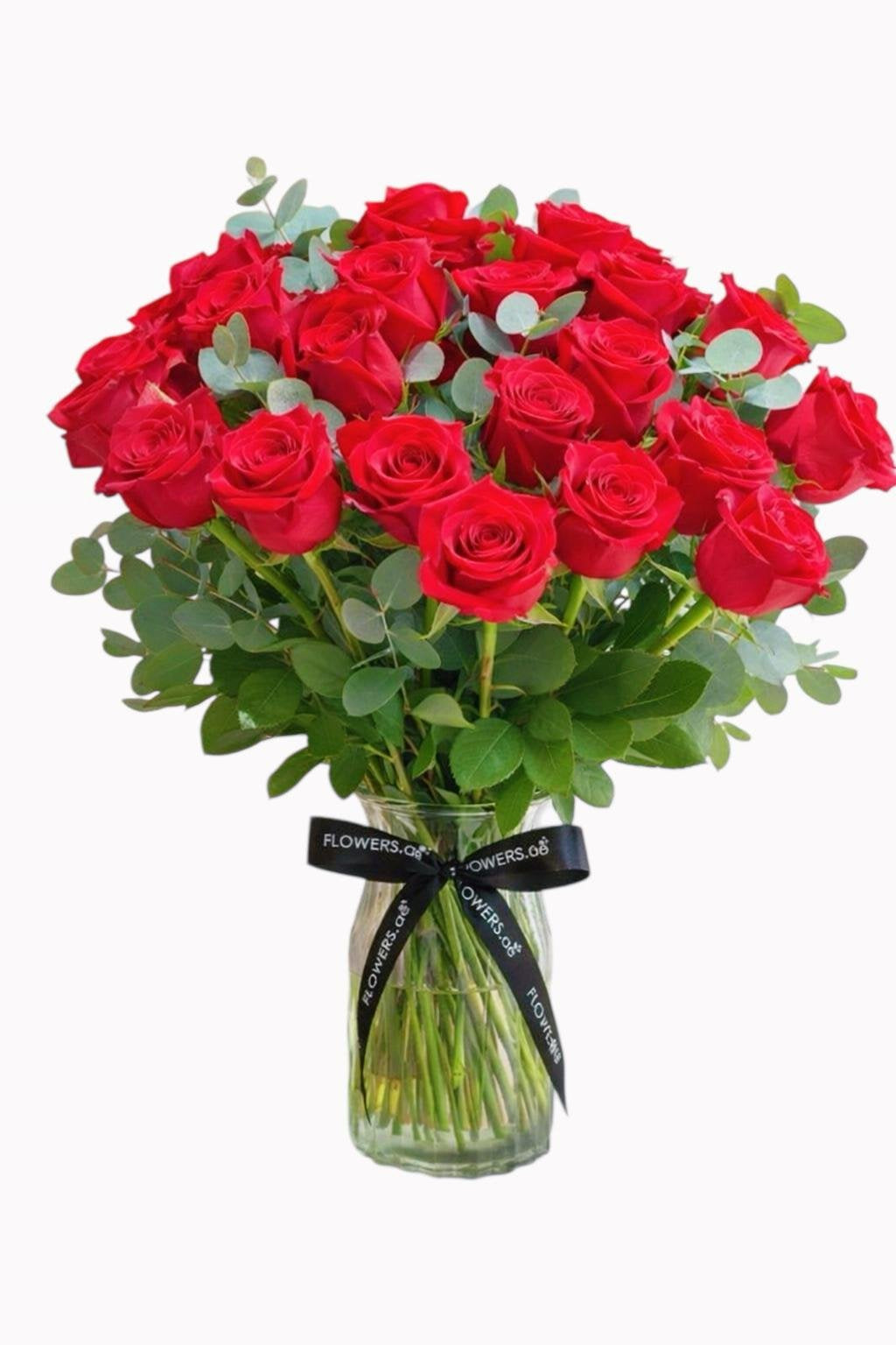 Timeless Red 2 Dozen