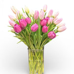 Tulip Garden
