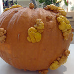 real Halloween pumpkin
