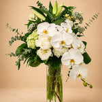 White Orchid Majesty