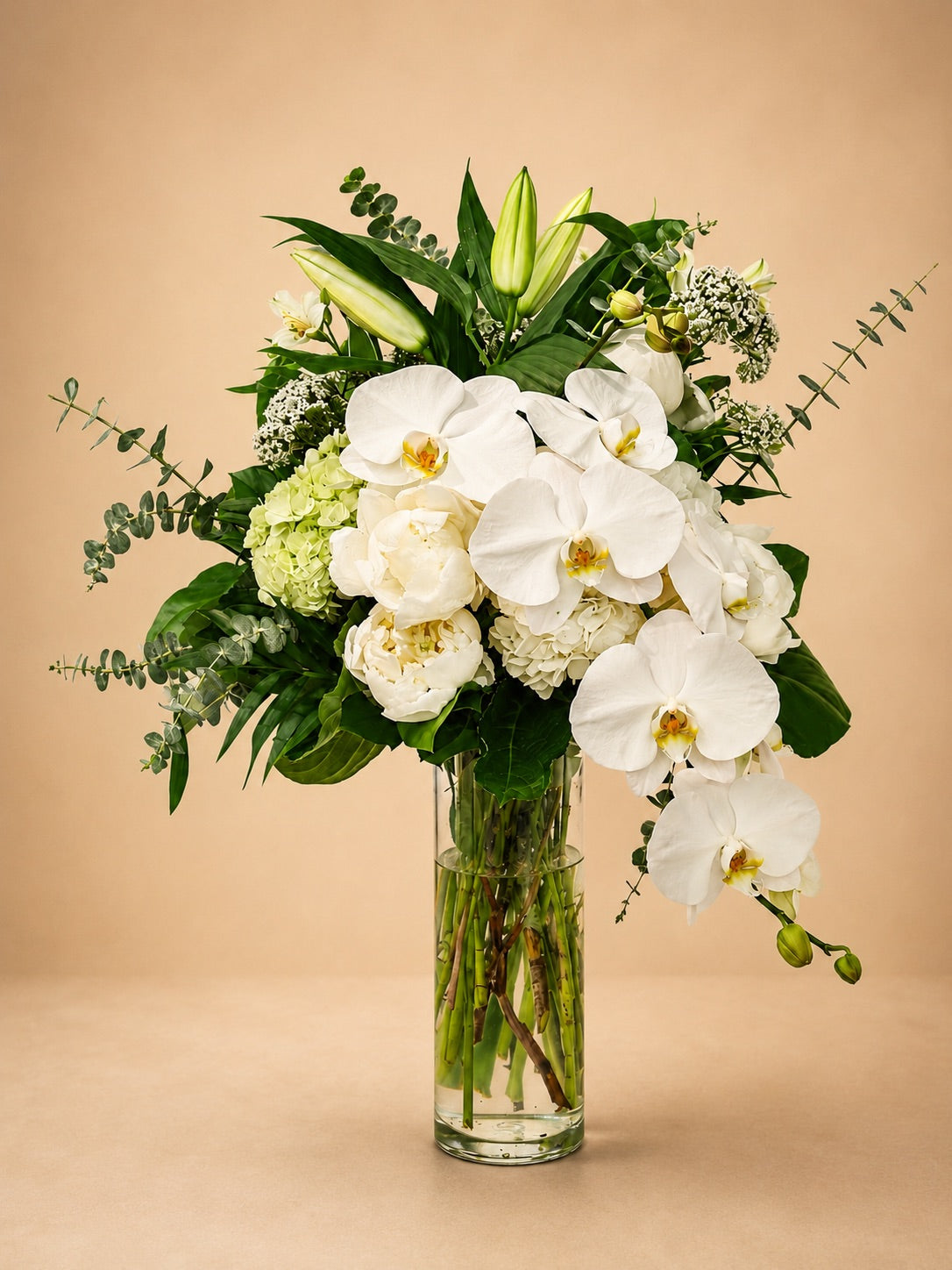White Orchid Majesty