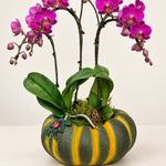 Autumn Jewel