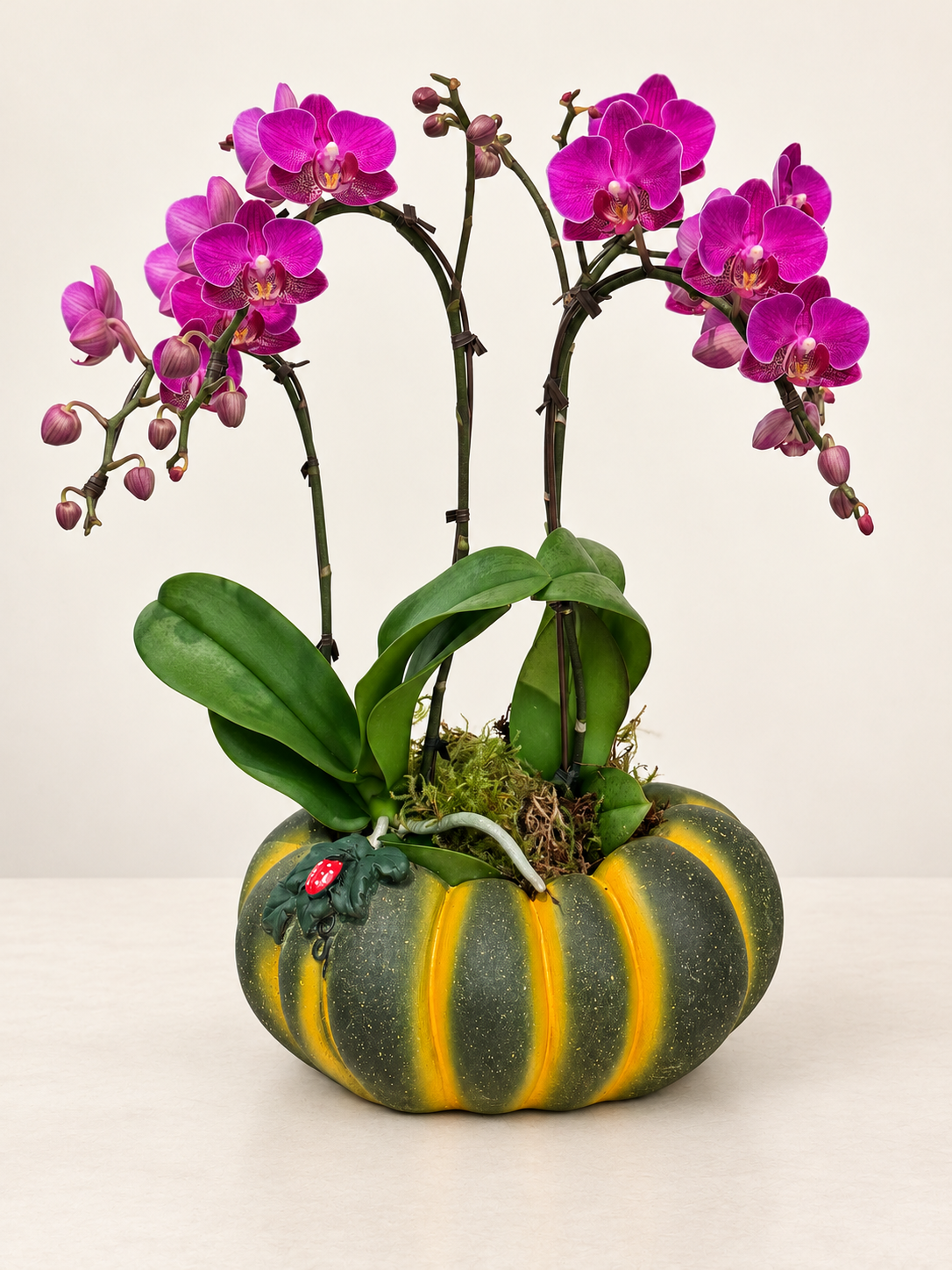 Autumn Jewel